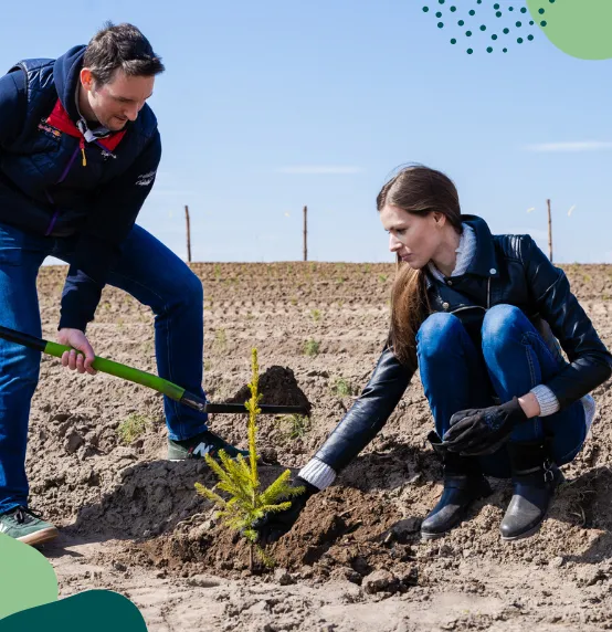 Sokołów CSR zrównoważony rozwój
